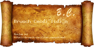 Brusch Cecílián névjegykártya